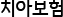 치아보험